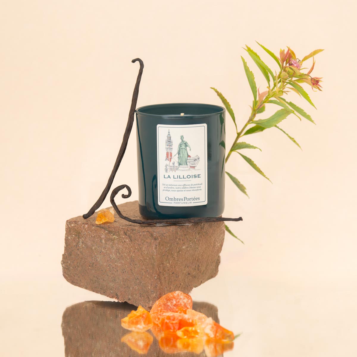 Bougie parfumée La Lilloise 210g