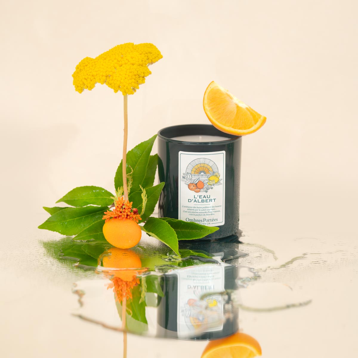 Bougie parfumée L'Eau d'Albert 210g